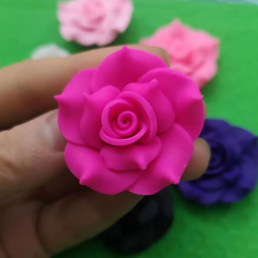 6 Rosa