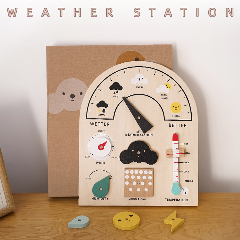 Wxb-wooden weather station pendant