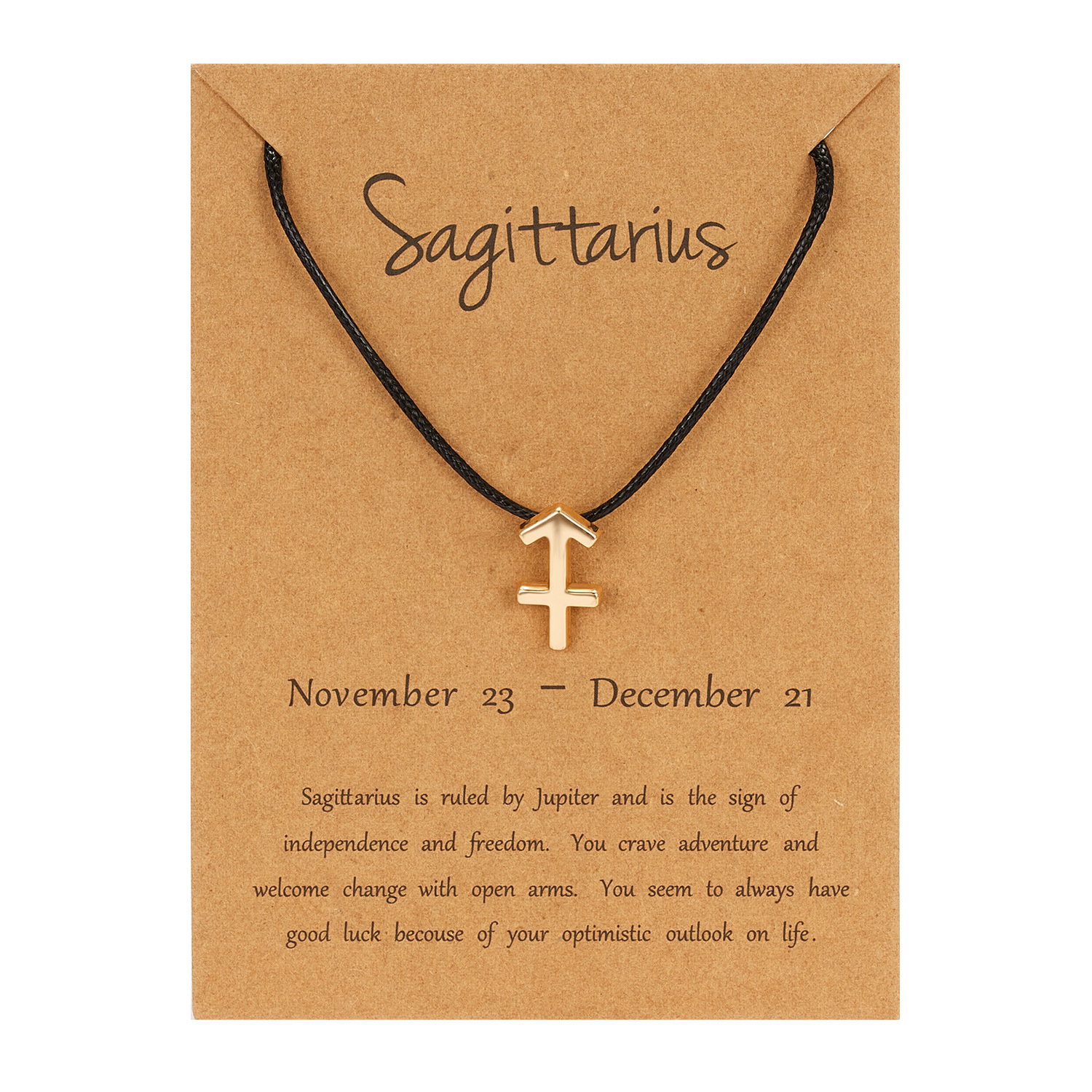 23:Sagittarius(Black Rope)