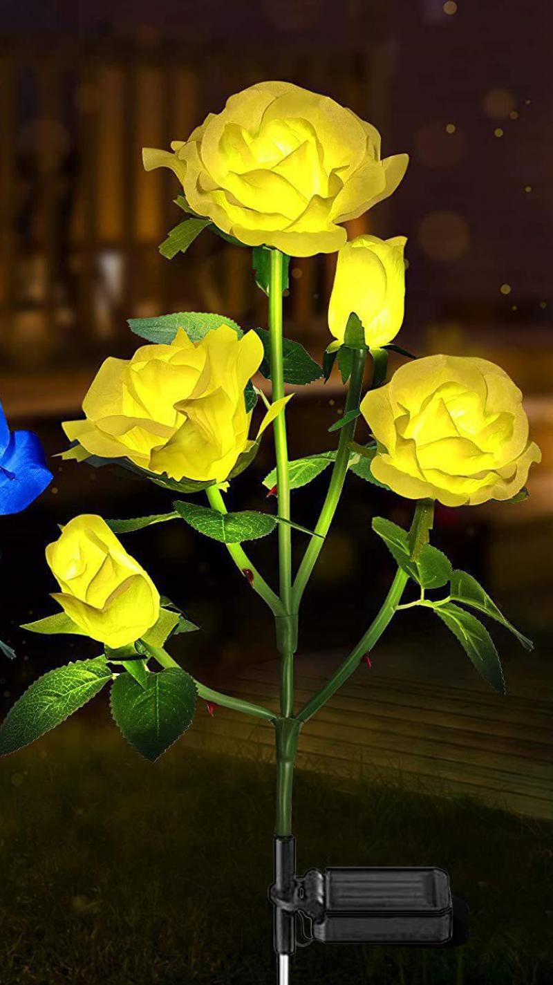 Five yellow roses