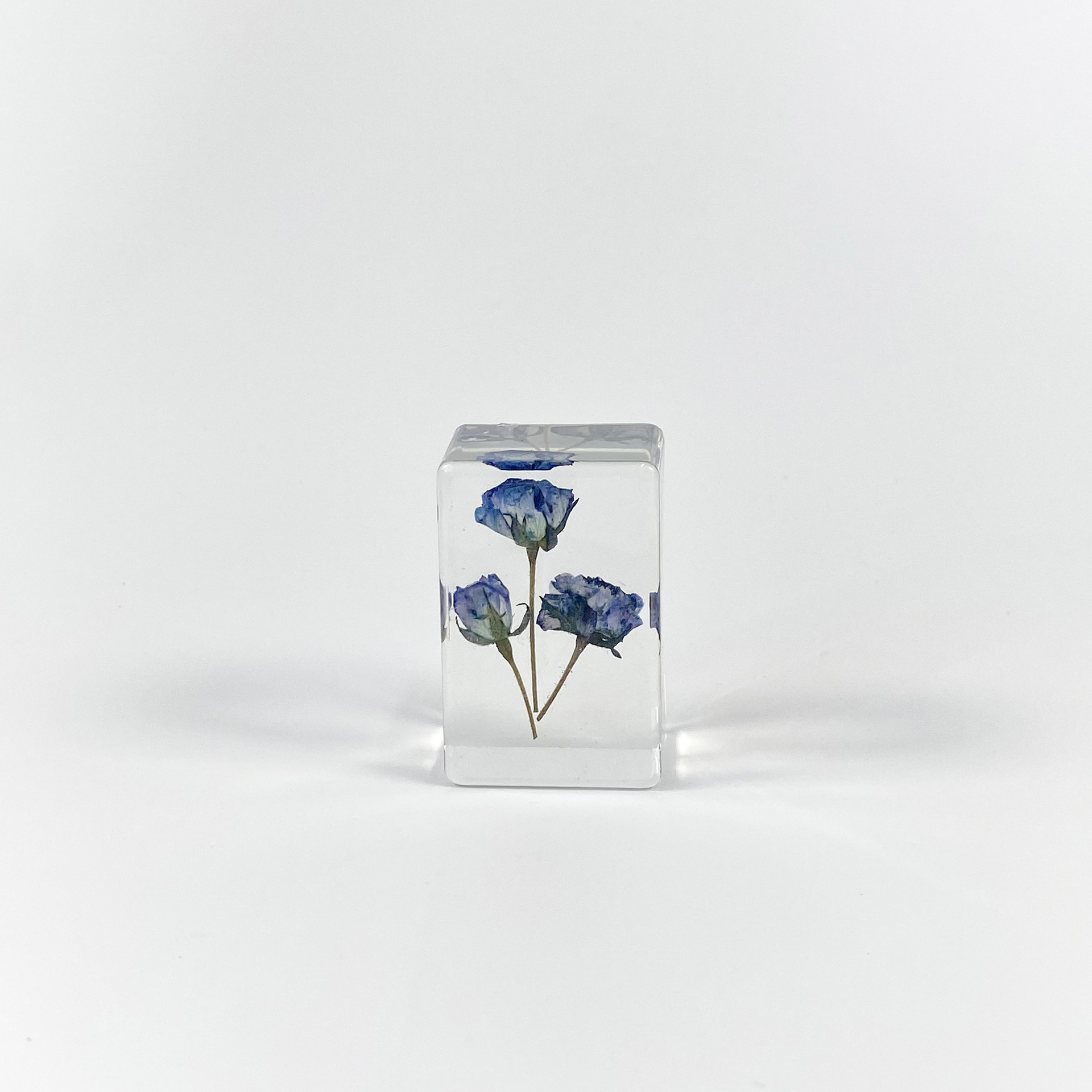 3:Little blue rose
