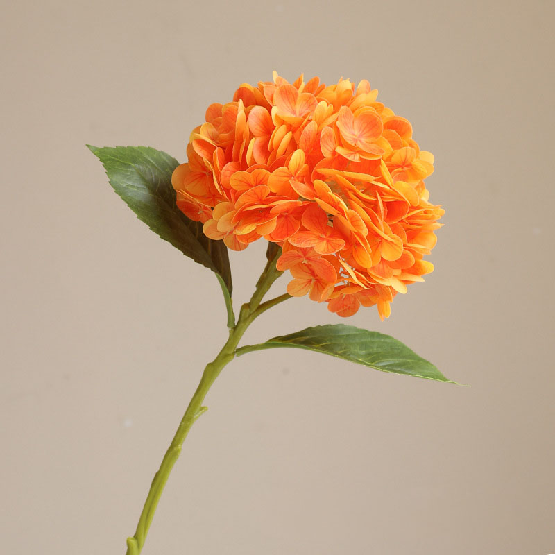 Orange medium 50cm