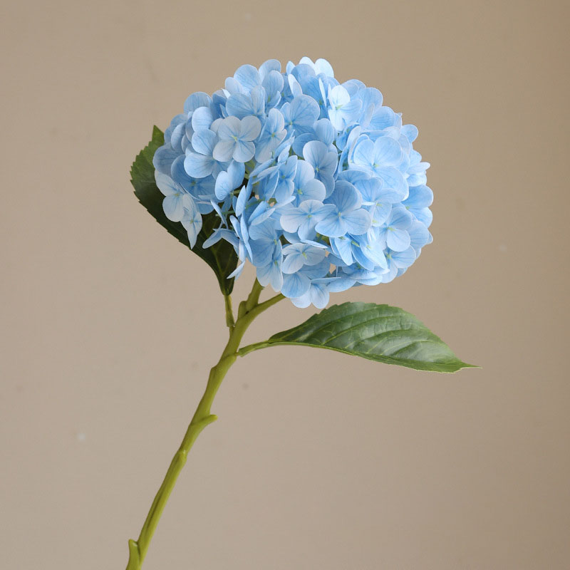 Light blue medium 50cm