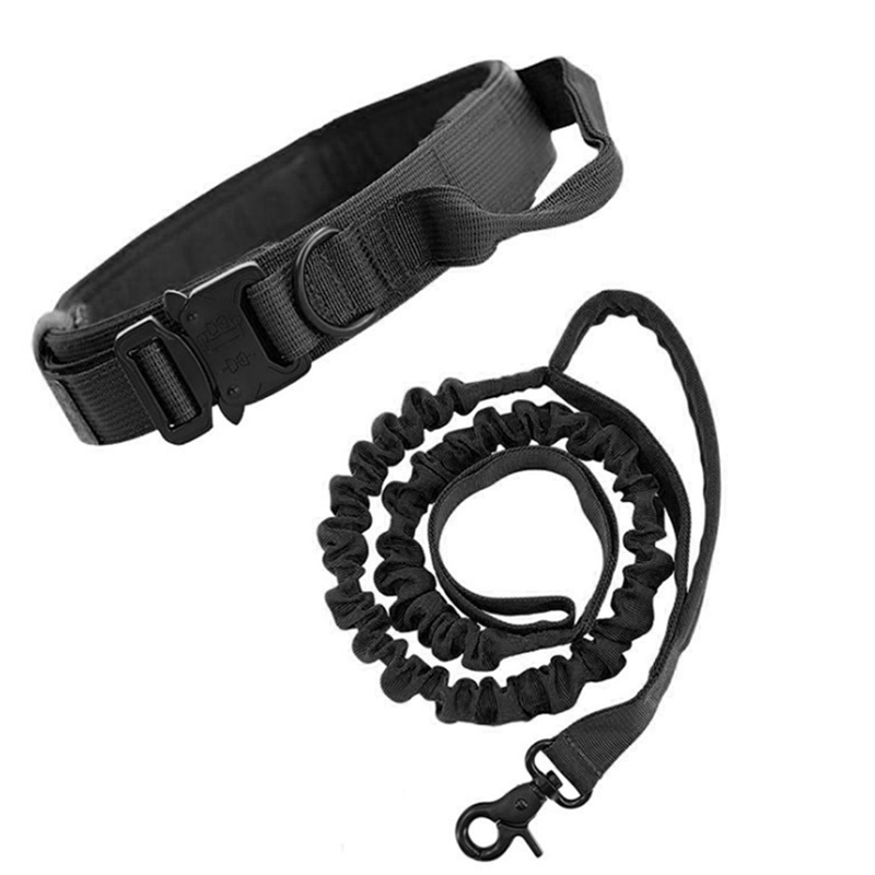 Black - collar leash