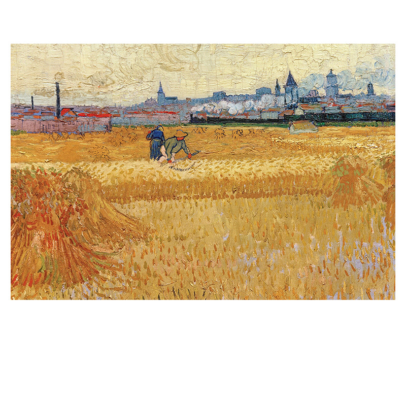 017 Harvest wheat fields