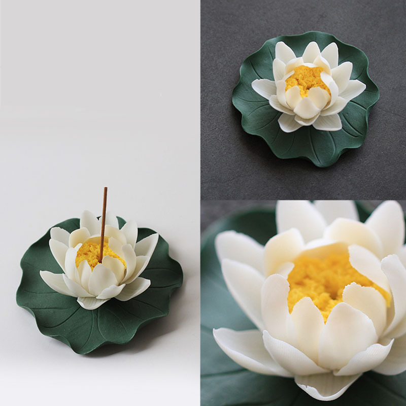 White lotus   Lotus leaf plate [trumpet]