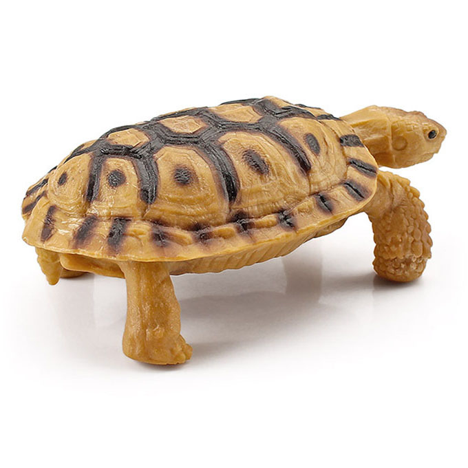 T15444 Cookie Tortoises