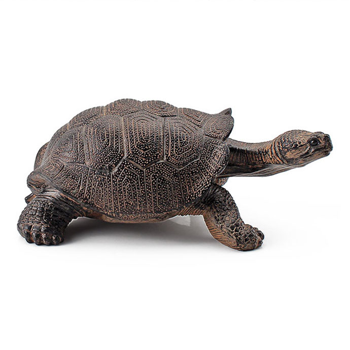 T15457 Galapagos tortoise