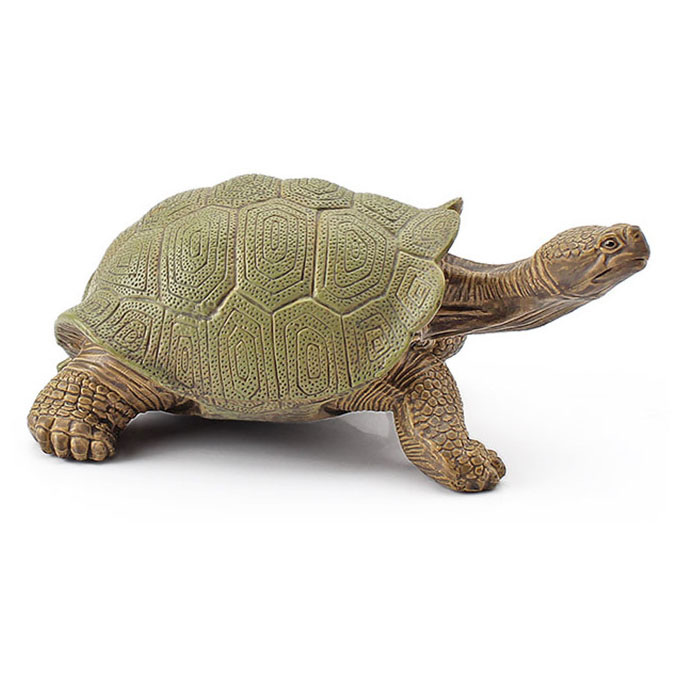 T15458 Galapagos tortoise