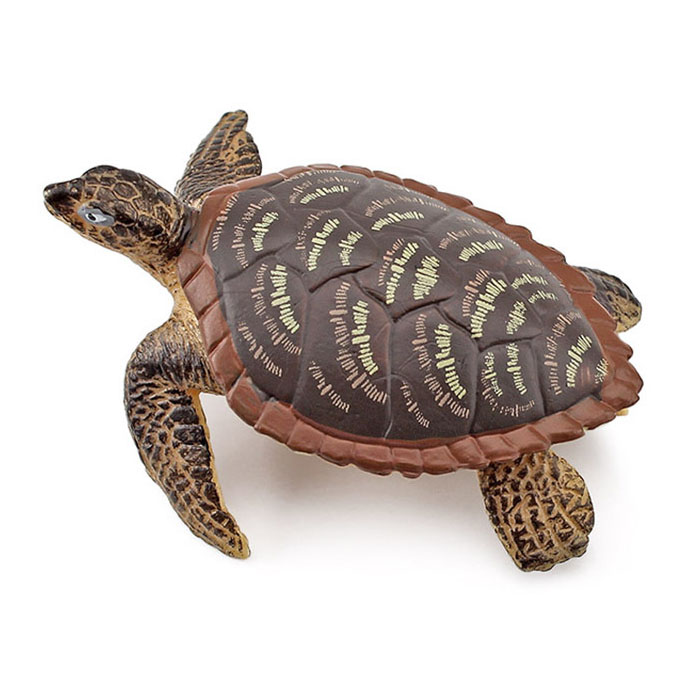 T15480 turtle