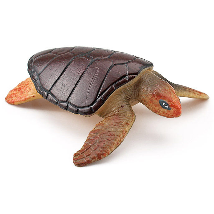 T15481 turtle