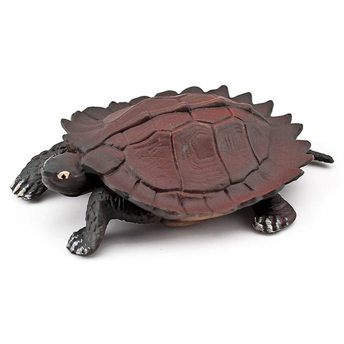 T15485 turtle