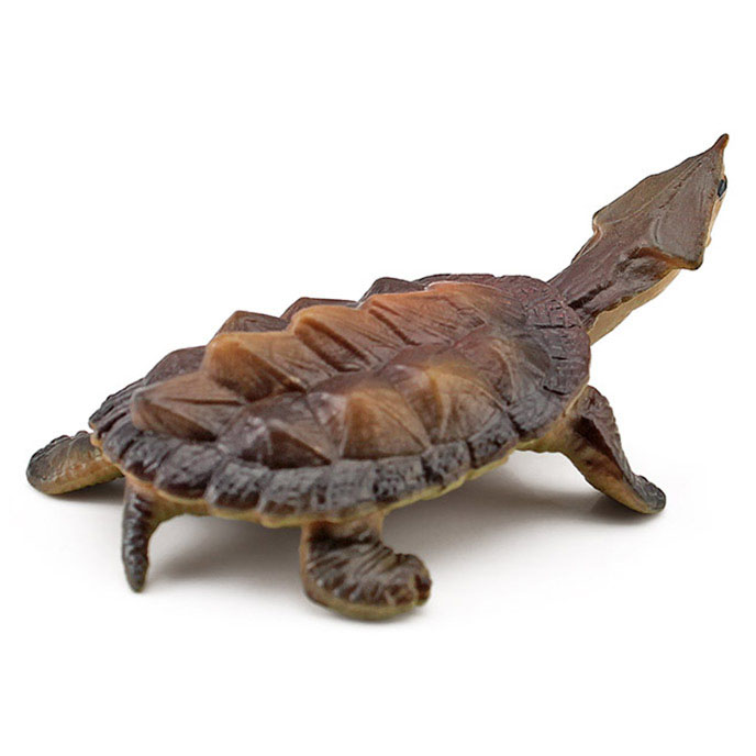 T15486 turtle