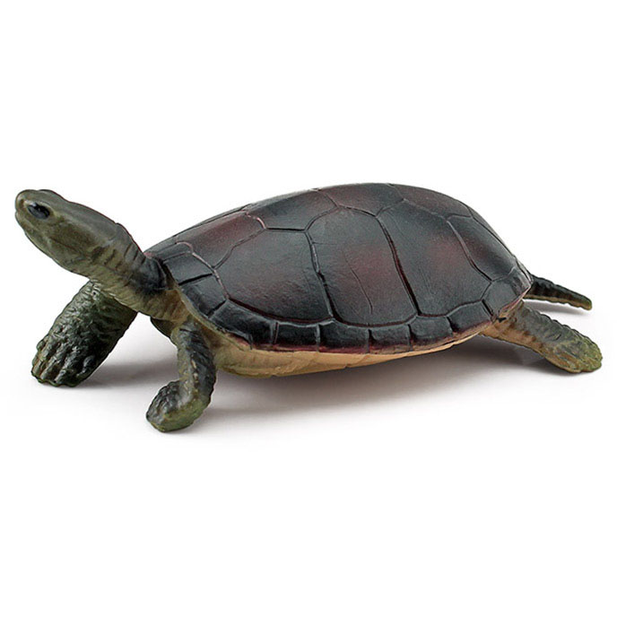 T15487 turtle