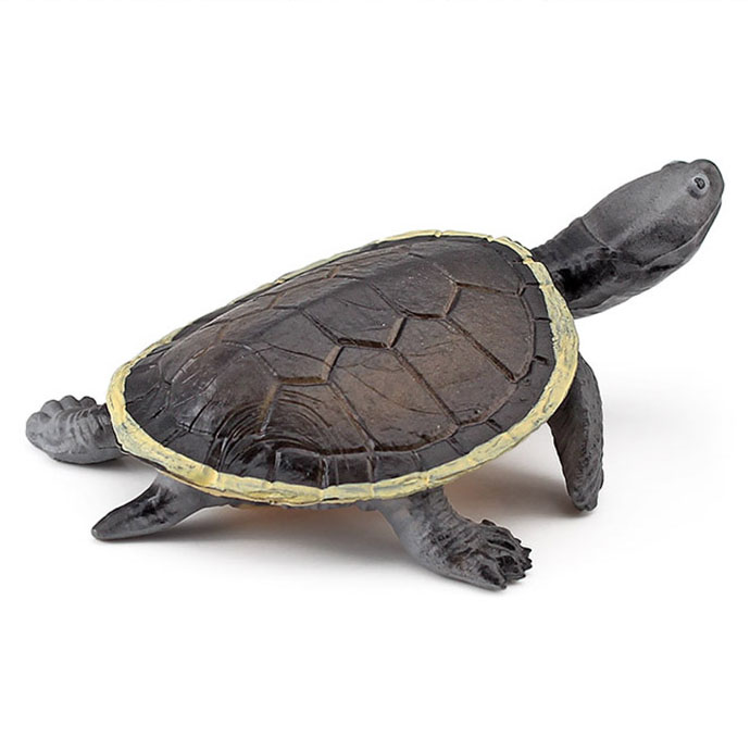 T15482 turtle