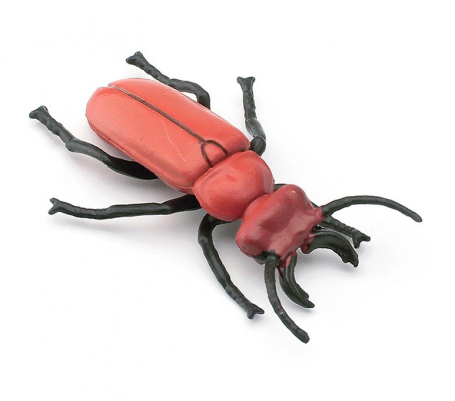 Spade beetle