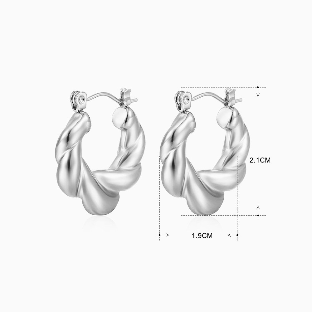 Steel earrings 370