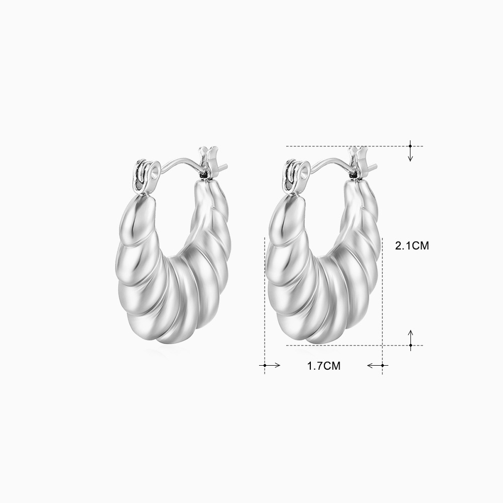 Steel earrings 434