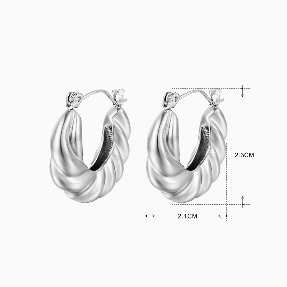6:Steel earrings 436