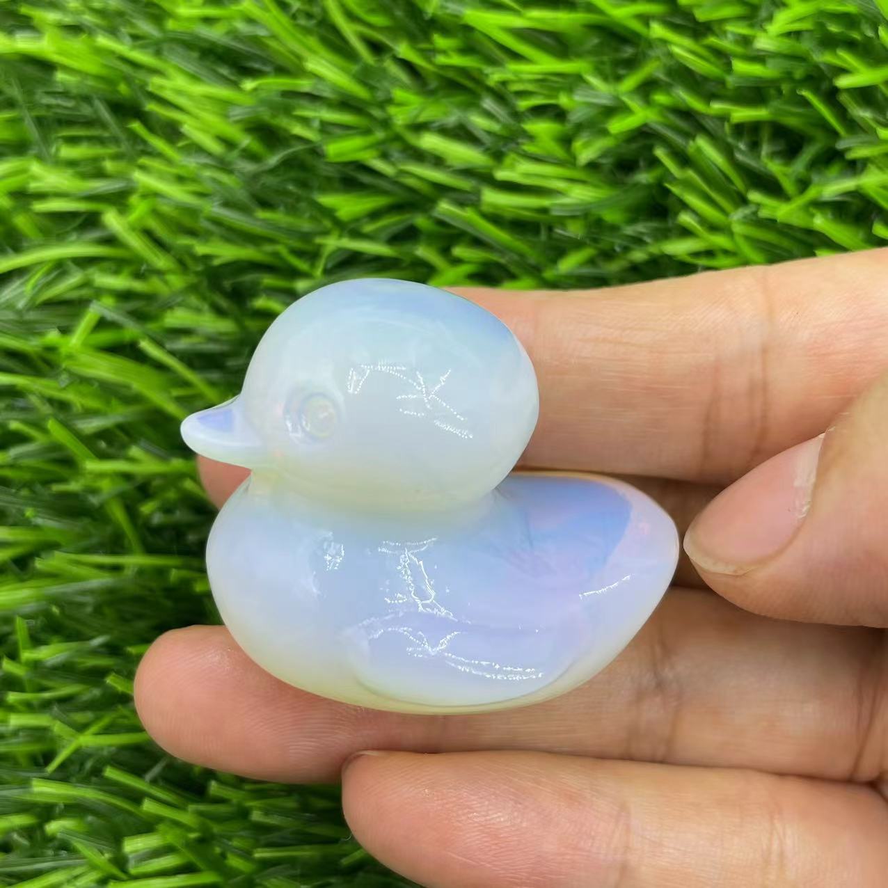 6 sea opal