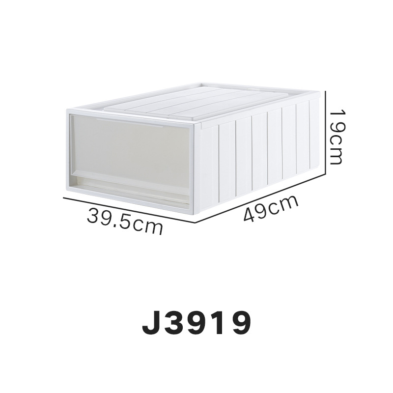 J3919