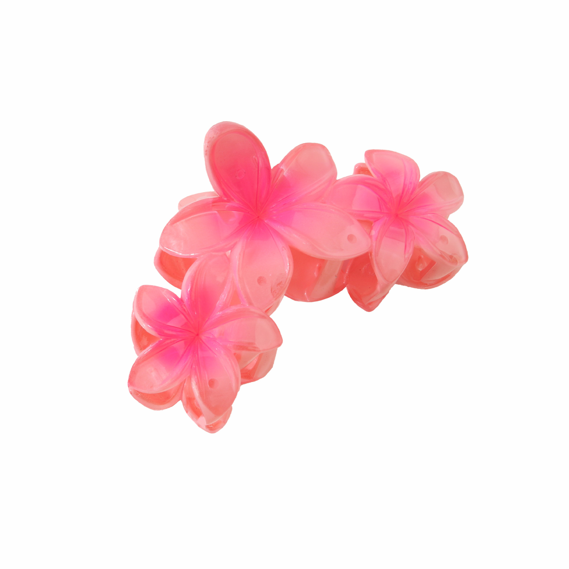 4:fioritura rosa