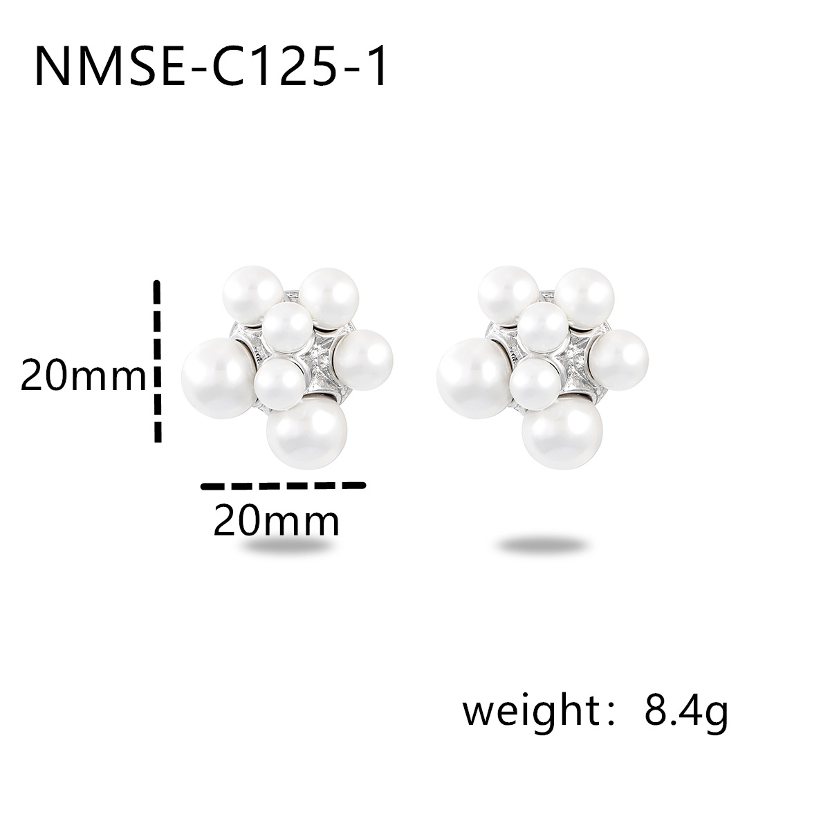 4:NMSE-C125-1