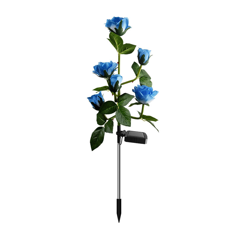 Blue-6 head roses