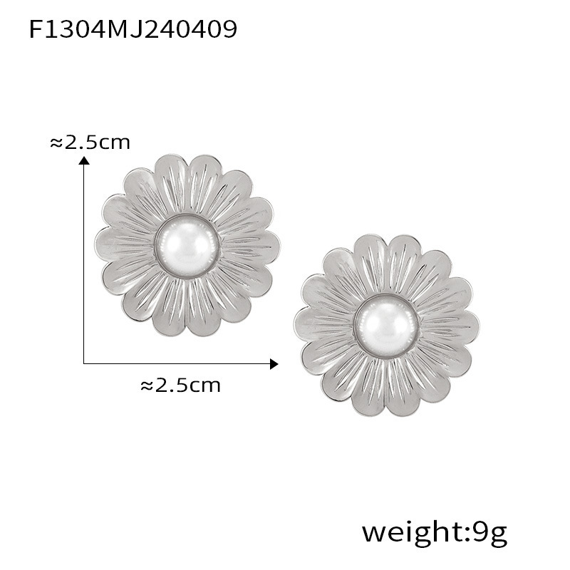 8:F1304- Steel earrings