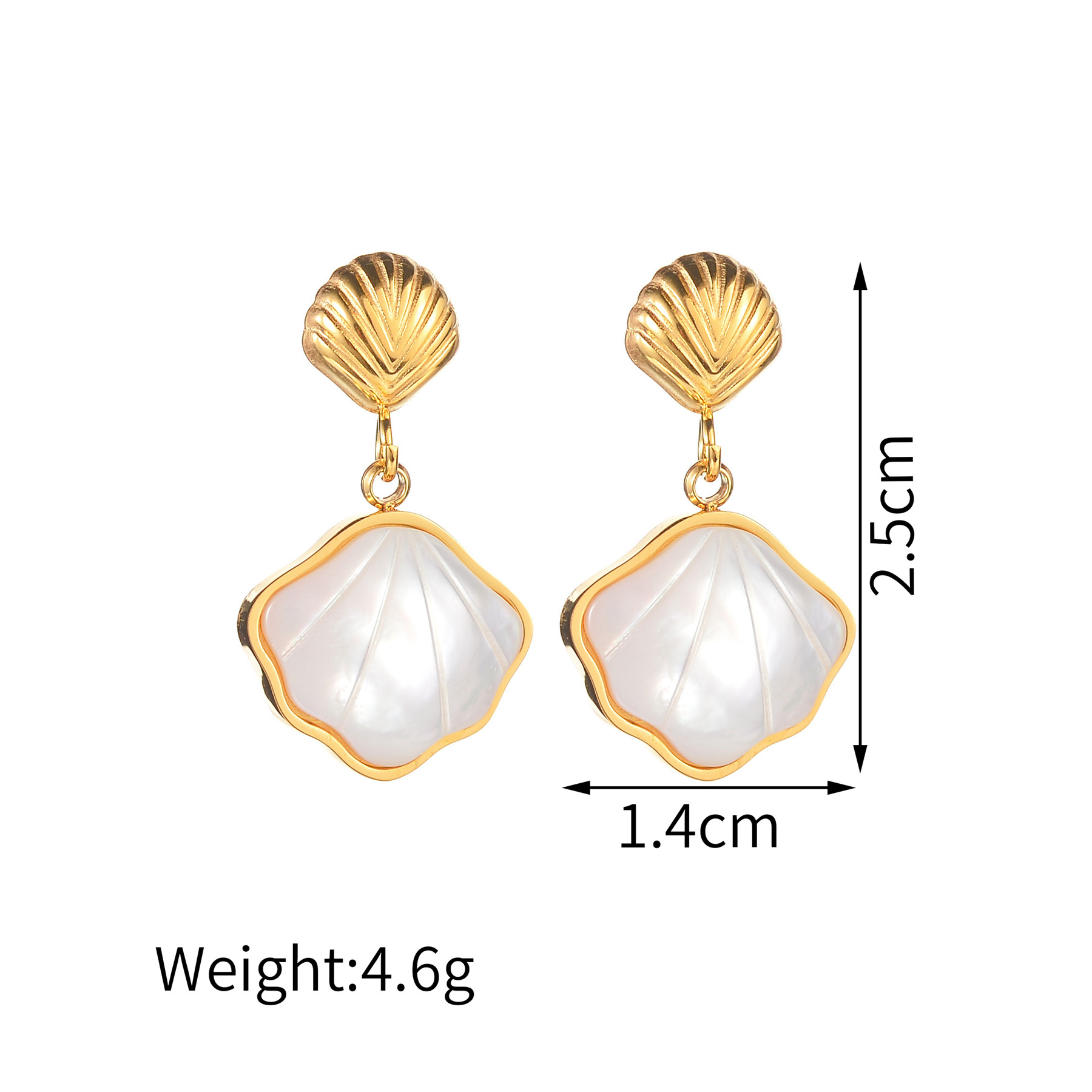 14:Stereoscopic shell earrings