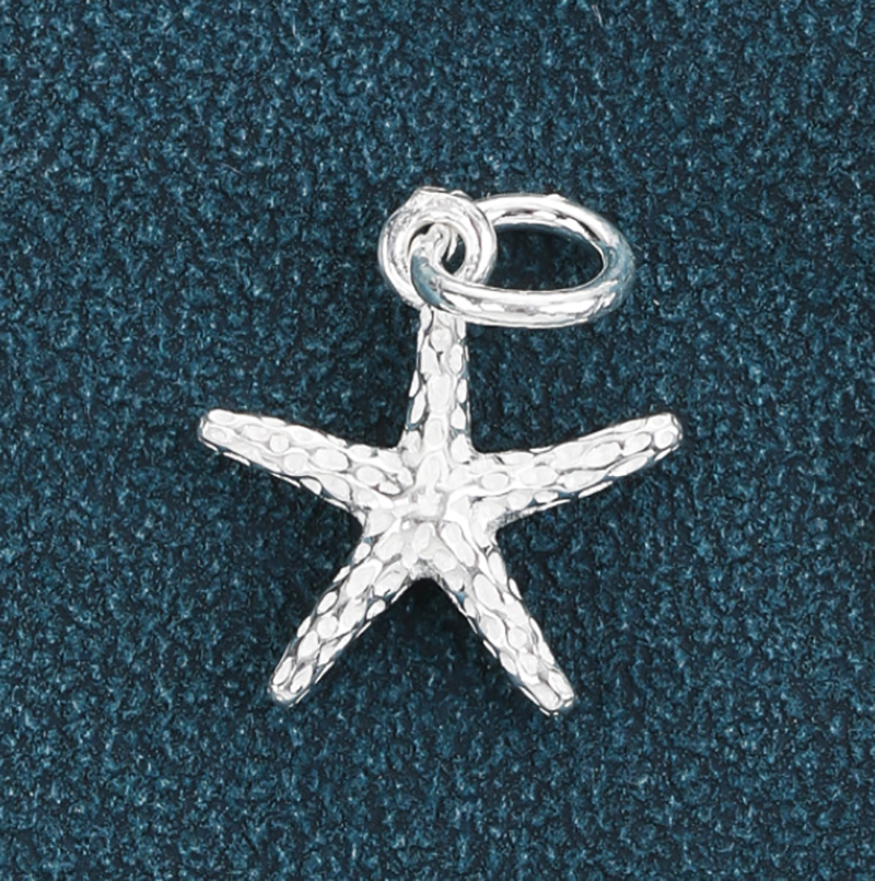 #1 Starfish - White -11.8x13.2mm