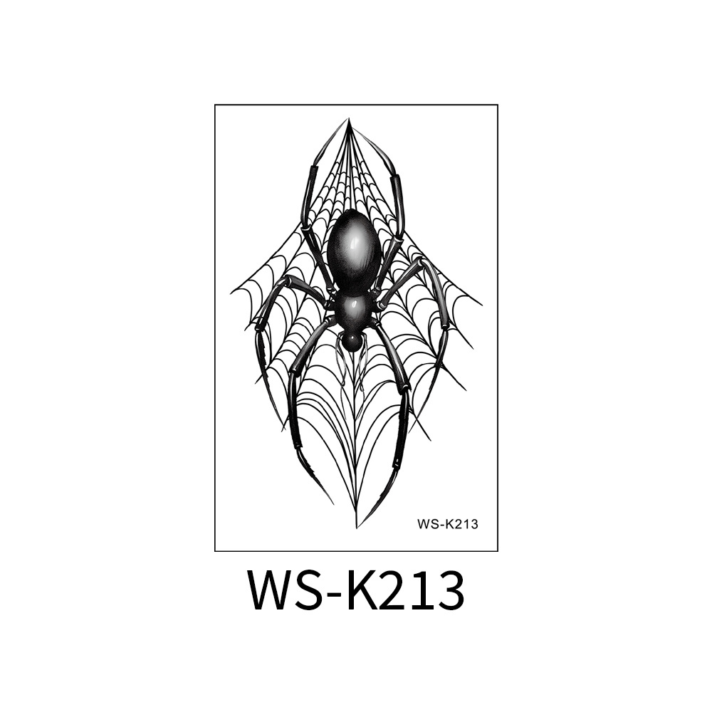 WS-K213