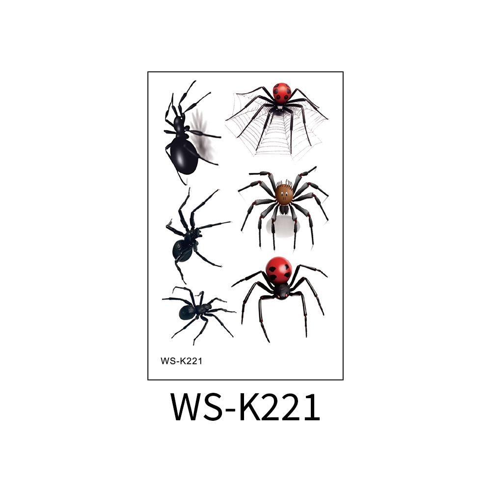 WS-K221