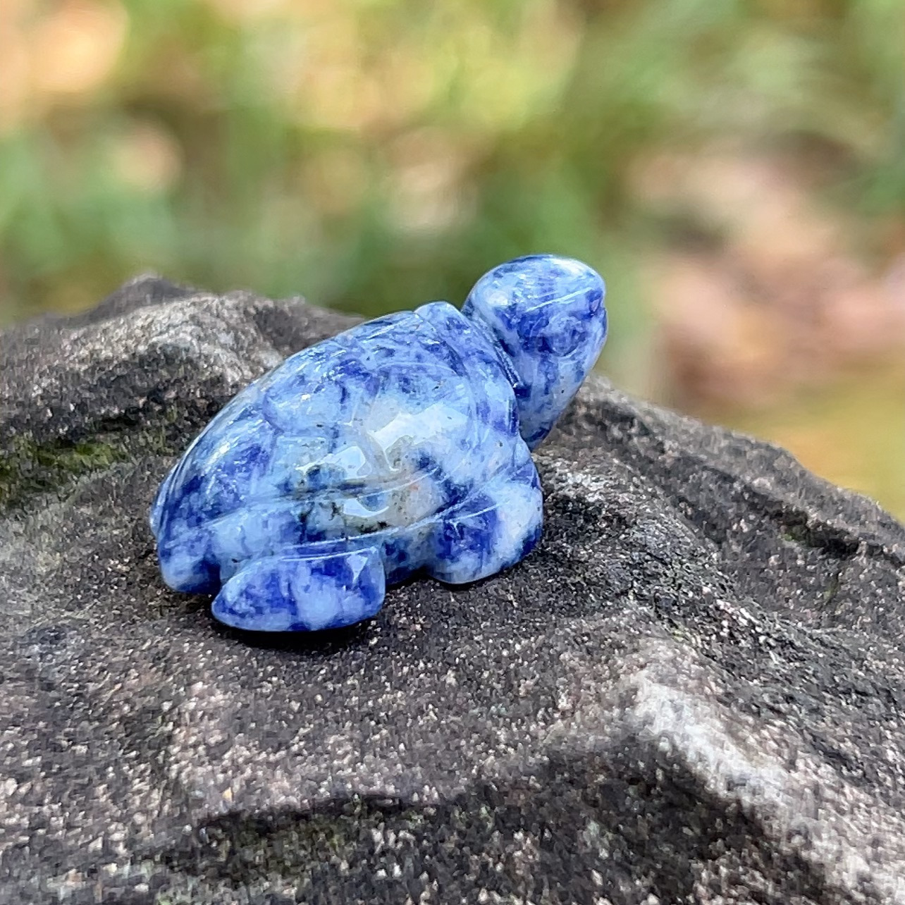 blue sport stone