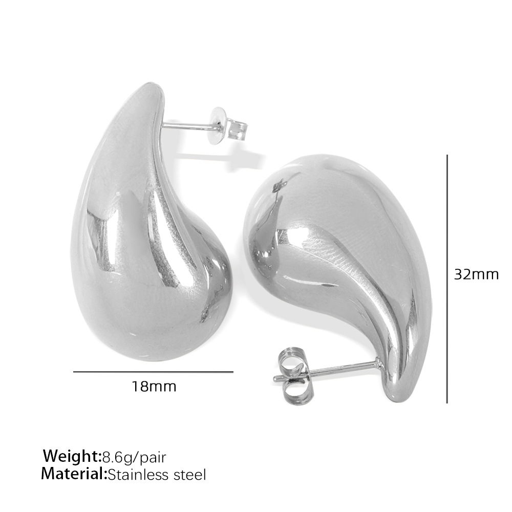 EH232 large silver earrings