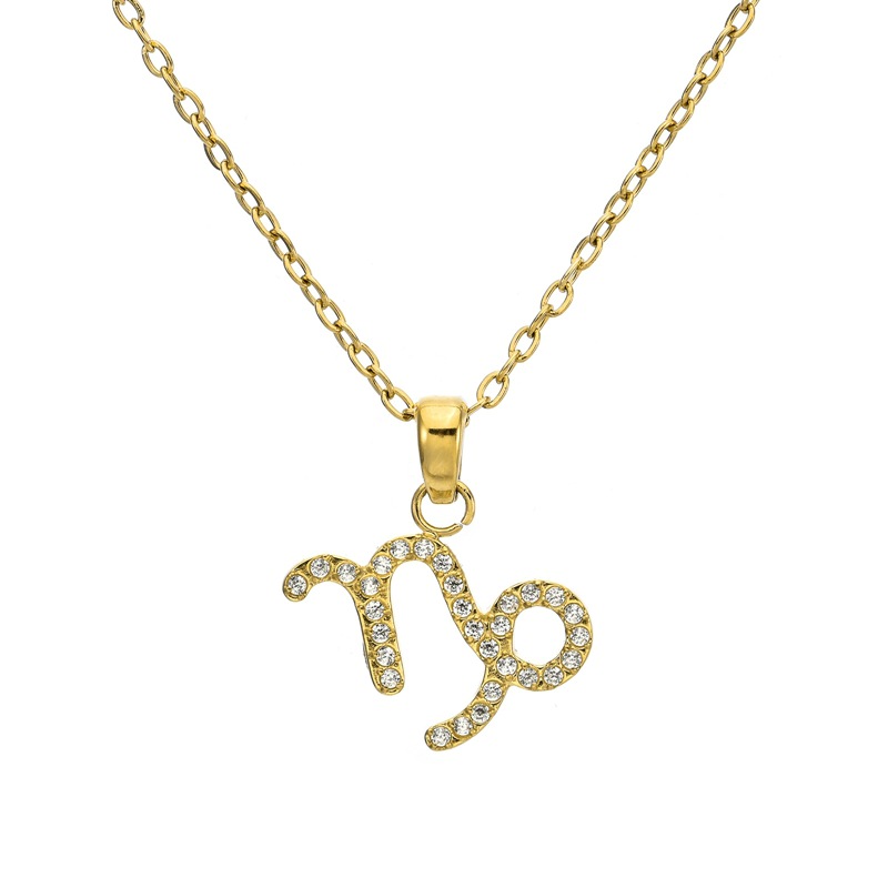 18k gold (capricorn) necklace