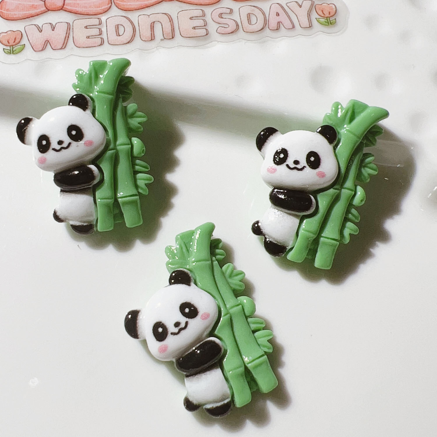 Panda Holding Bamboo