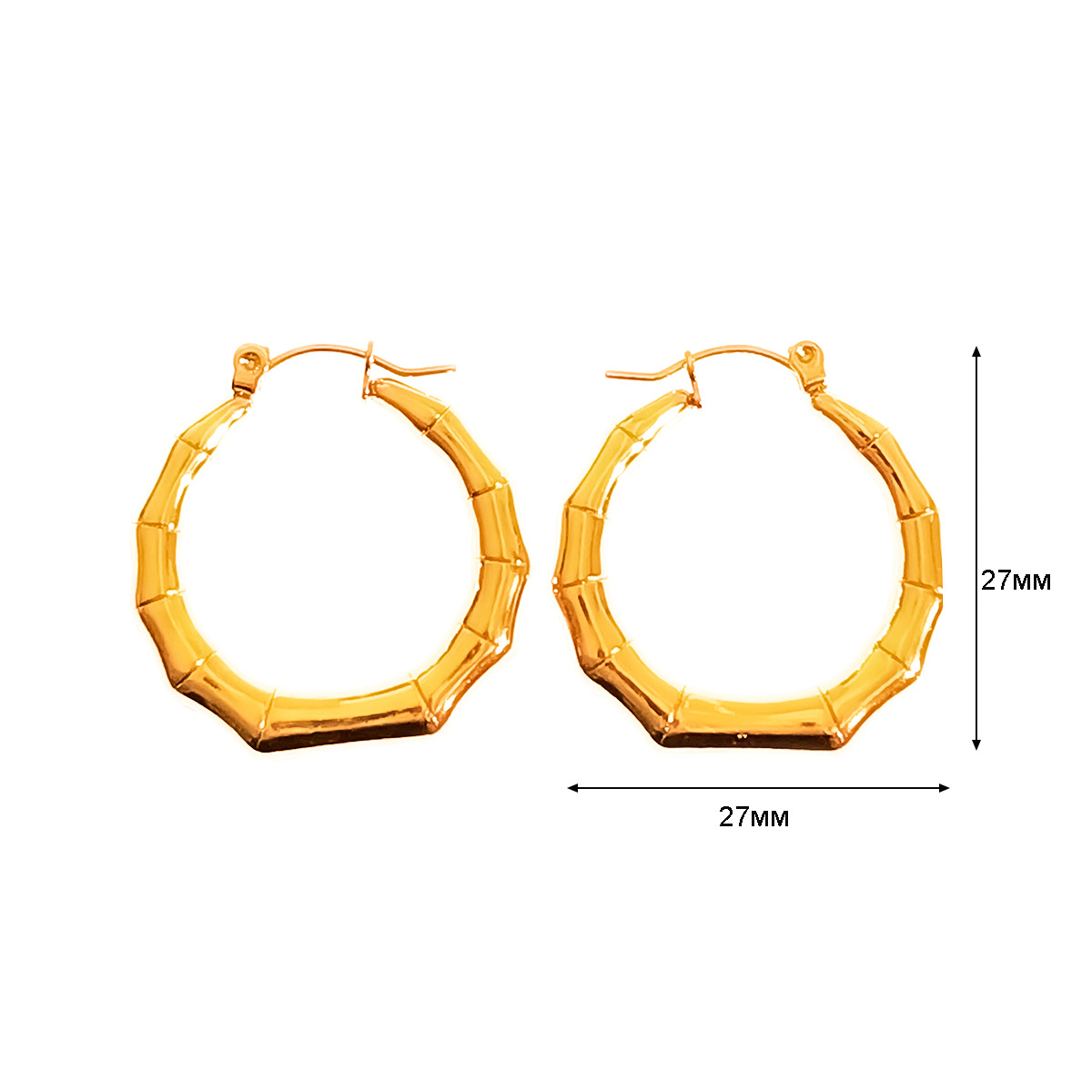 E00104 a pair of earrings