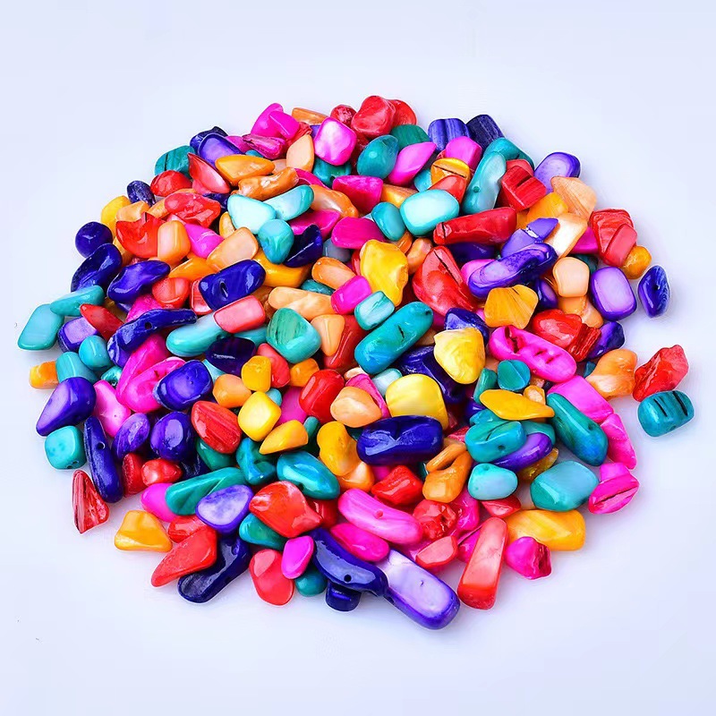 colorful shells