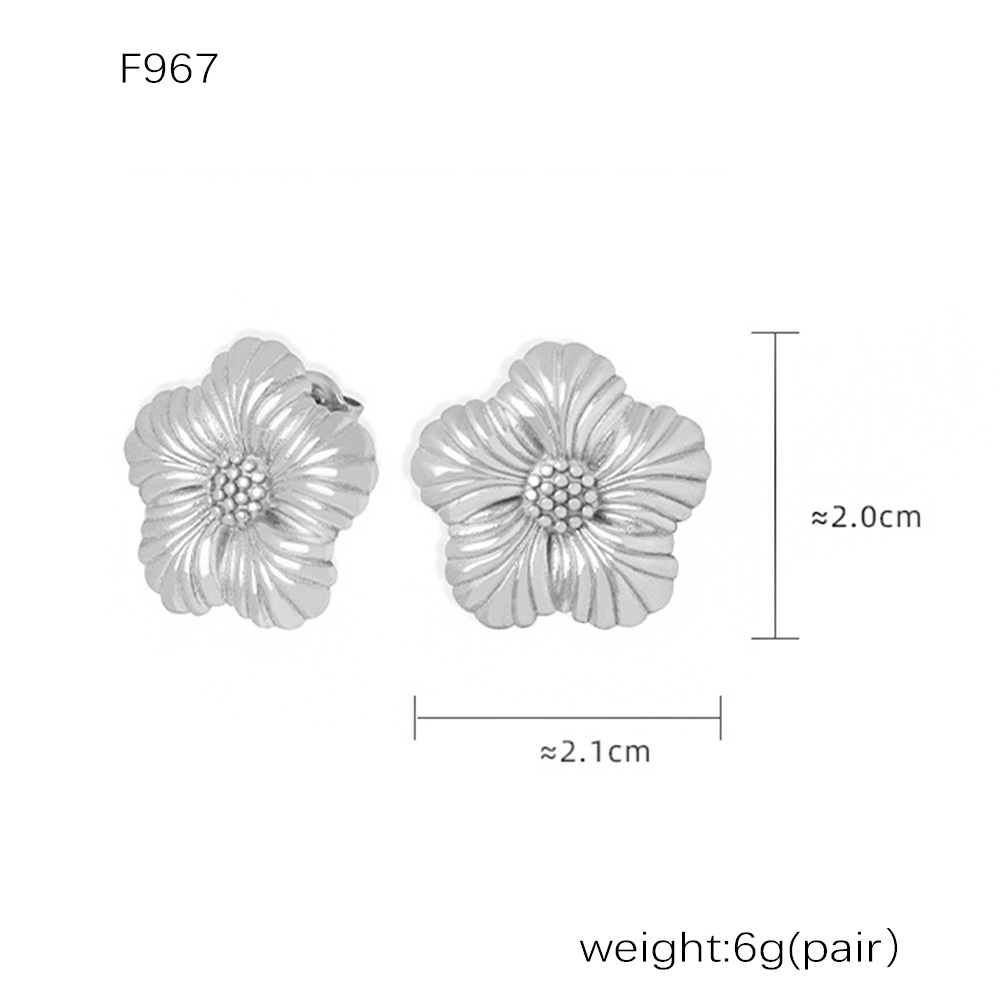 F967-steel color earrings