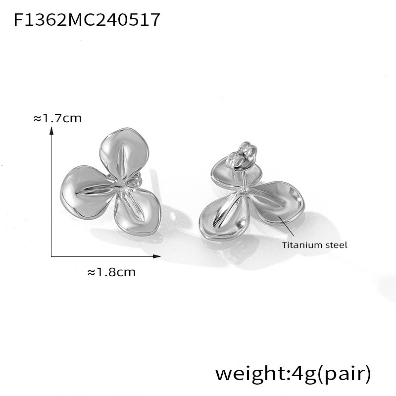 F1362-steel color earrings