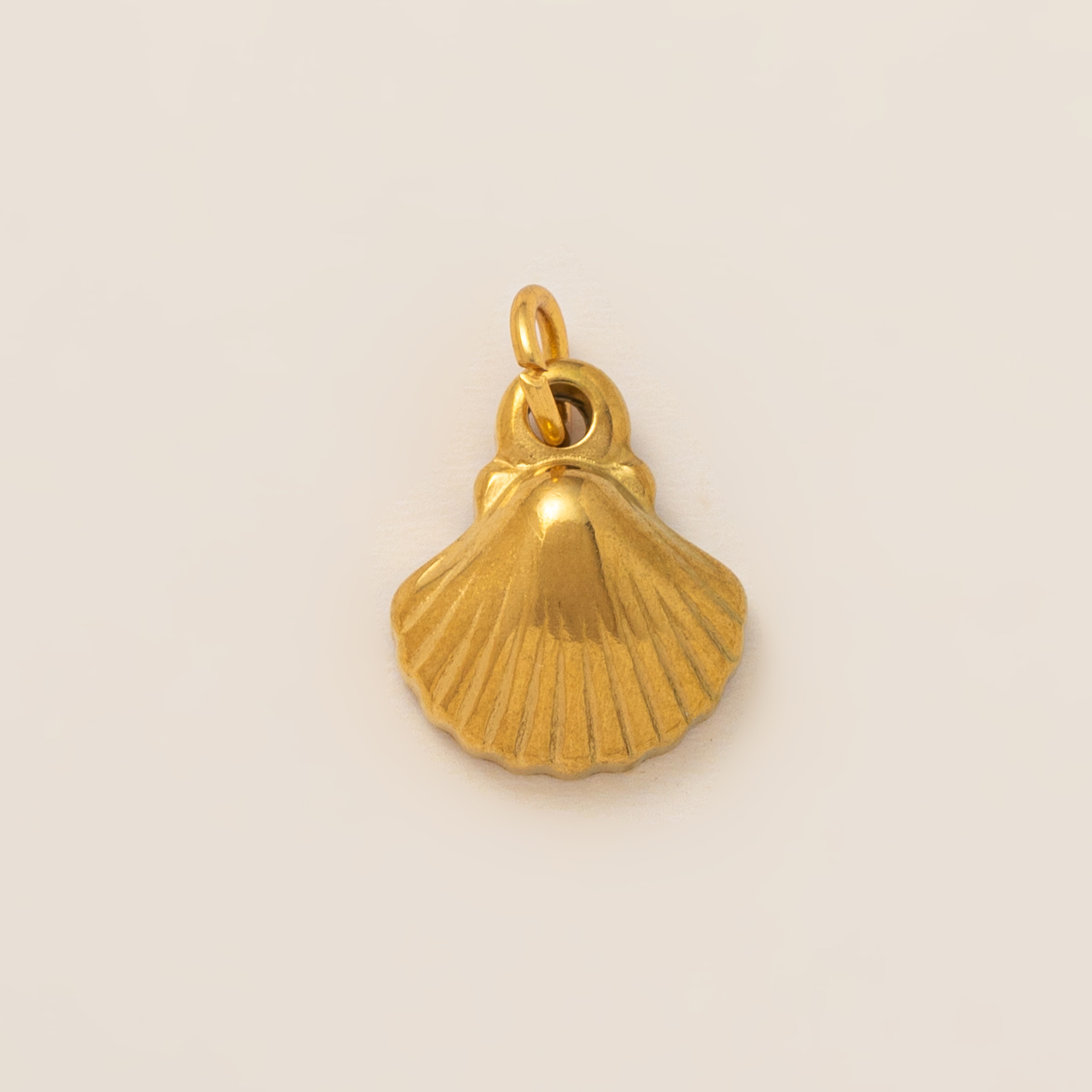 Small shell-1 pendant