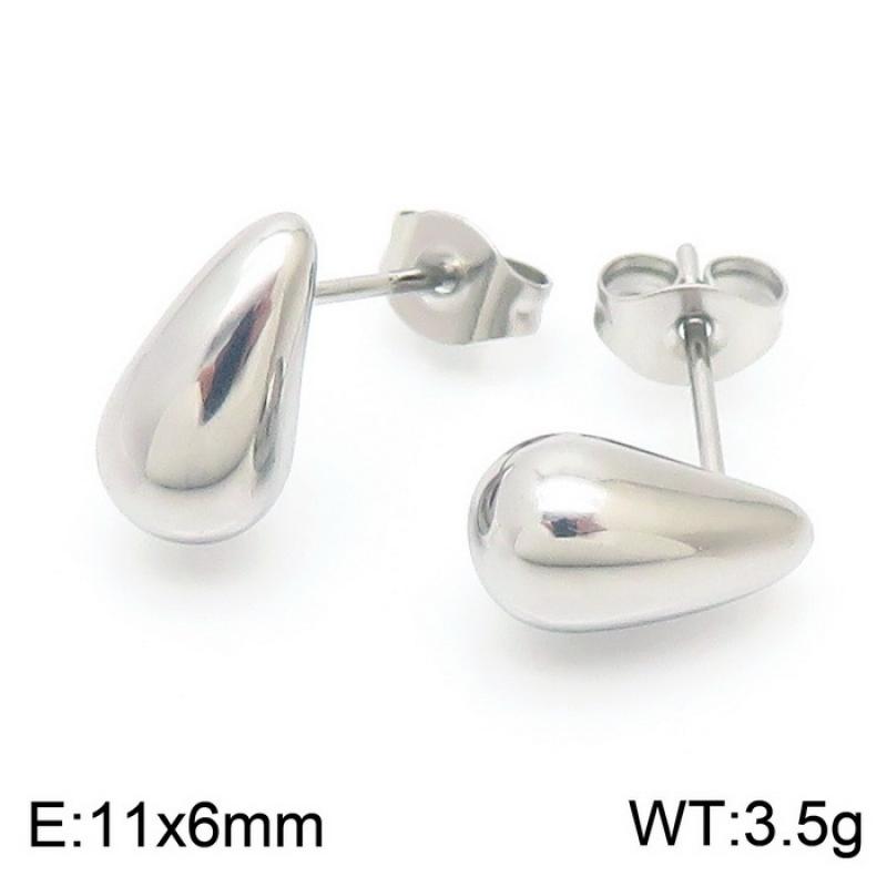 Steel Earrings KE110857-KFC