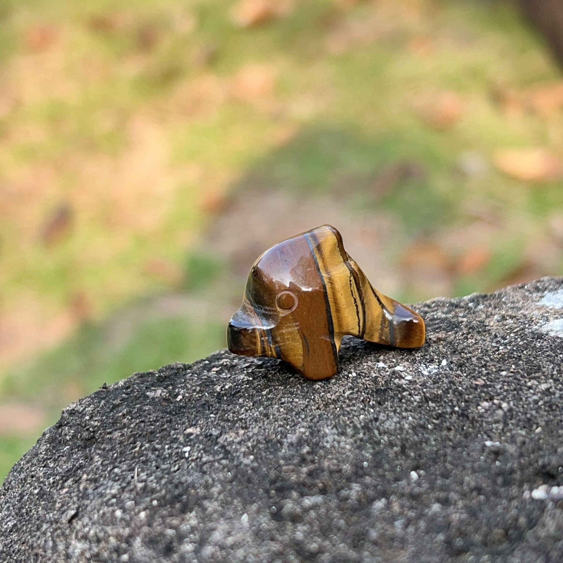 Tiger eye stone