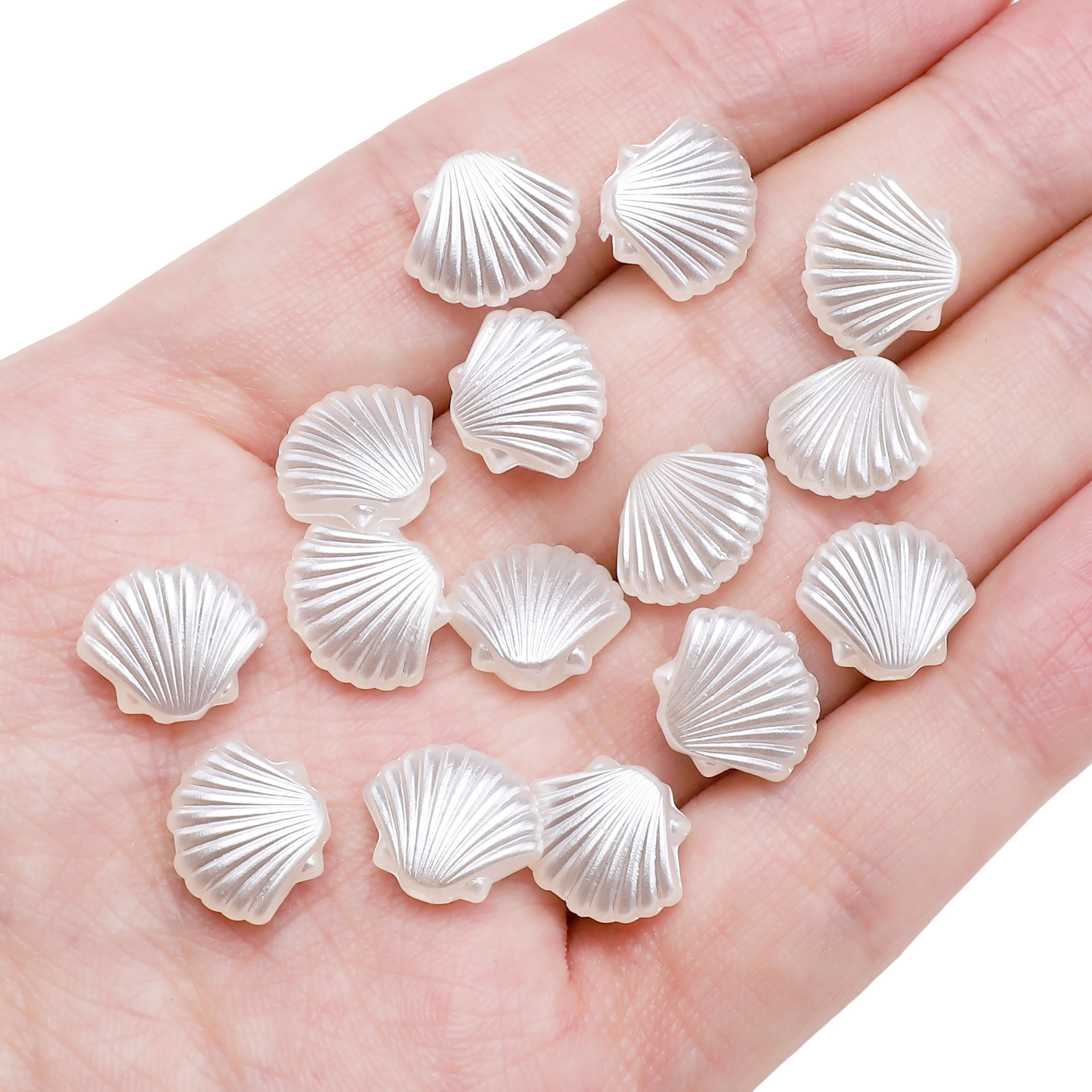 Scallop 13x11mm 30 pieces/pack