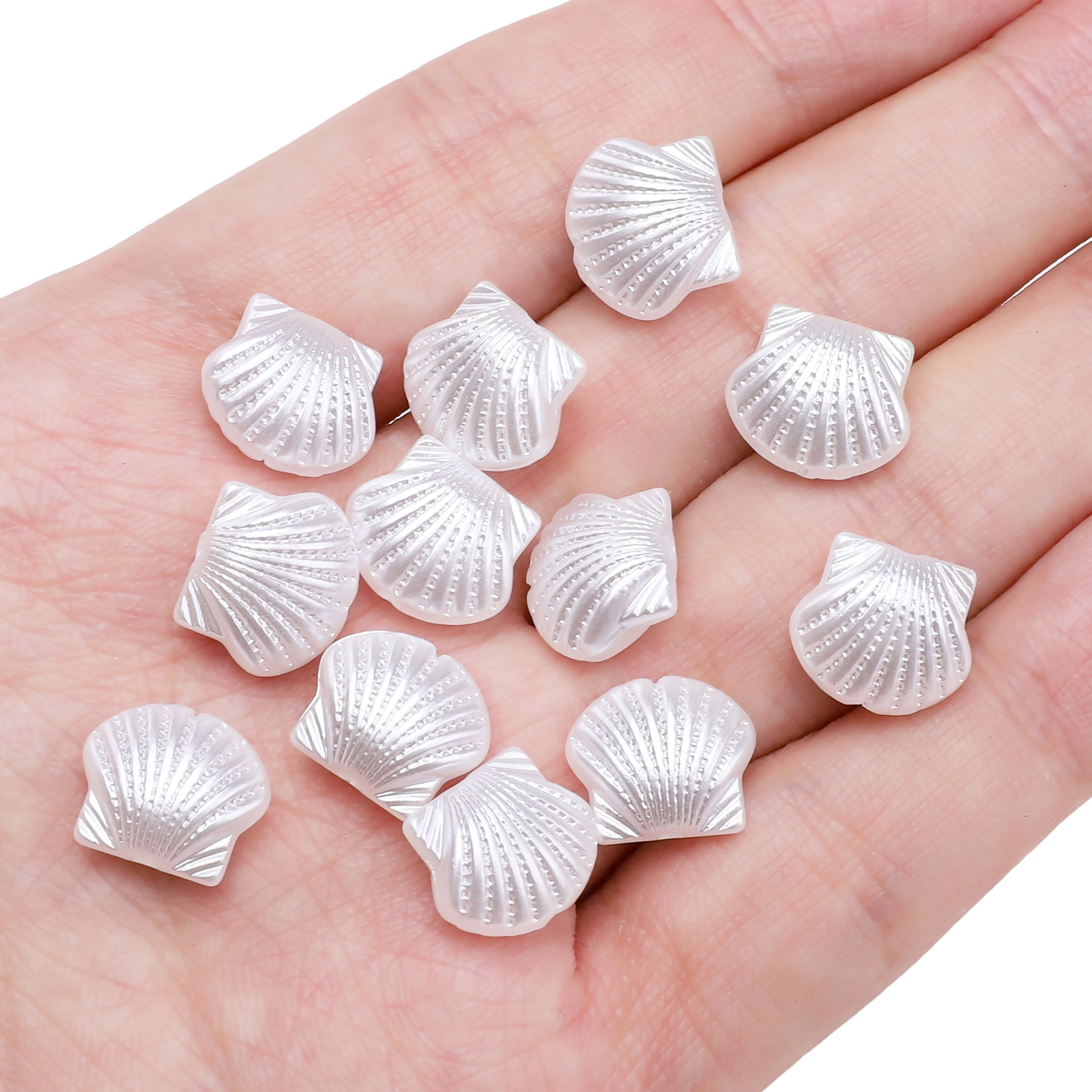 Scallop 12x11mm 30 pieces/pack