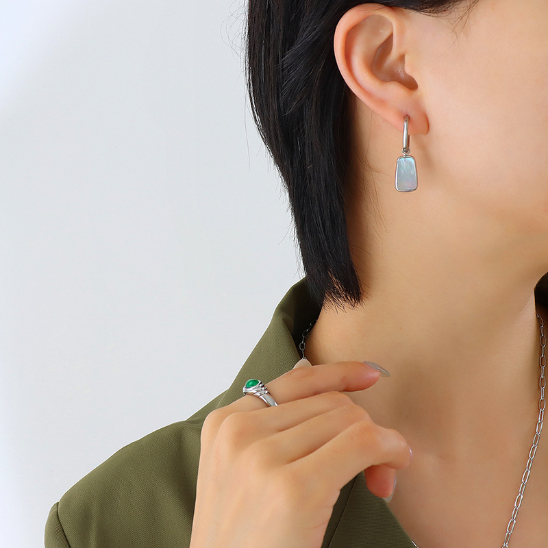 F183-steel color earrings