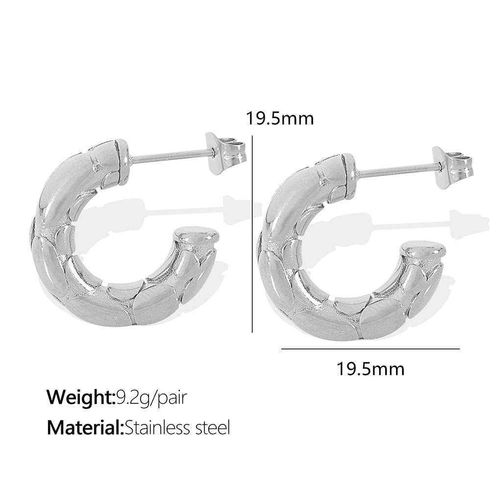 EH255 silver earrings