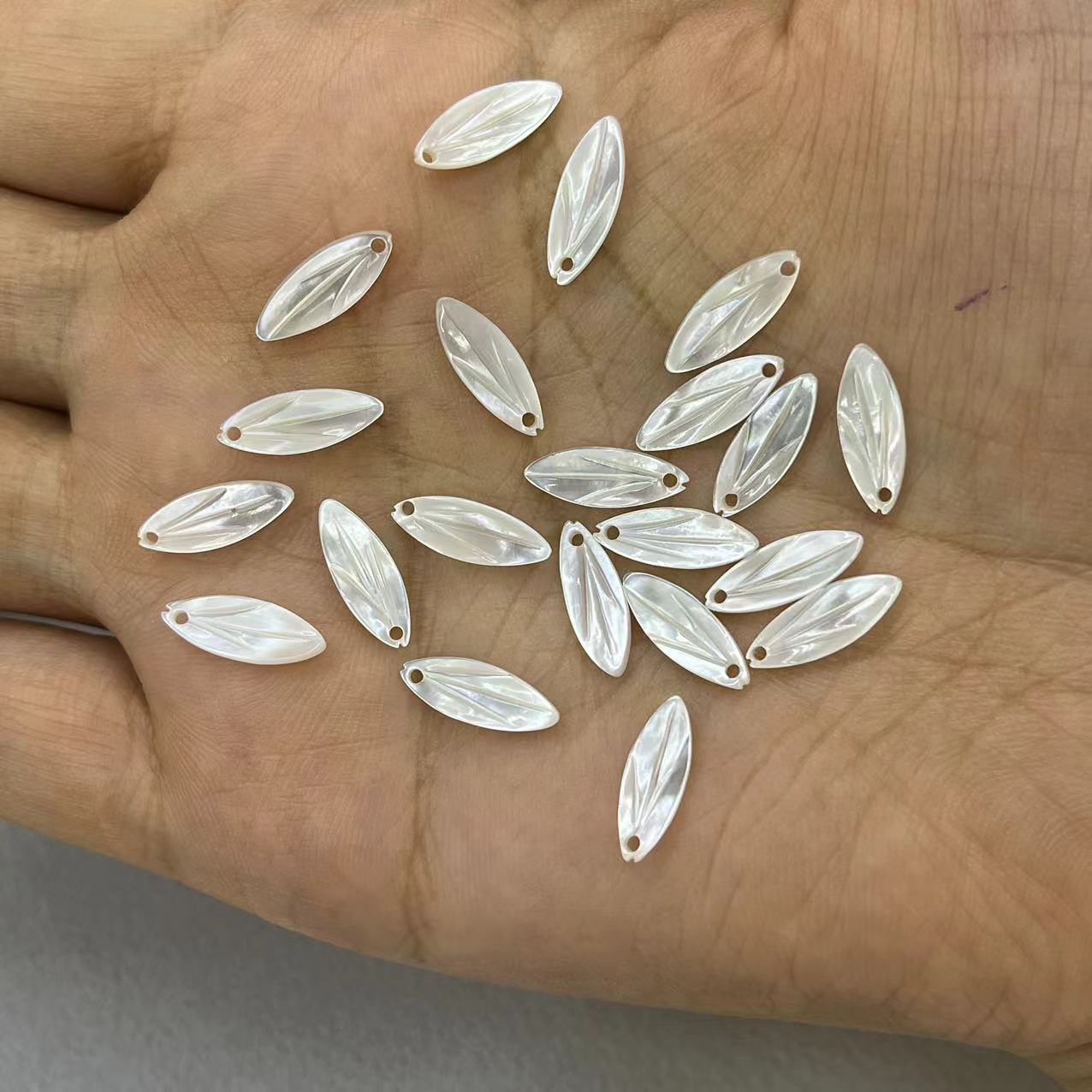 White shell leaves 5*13mm