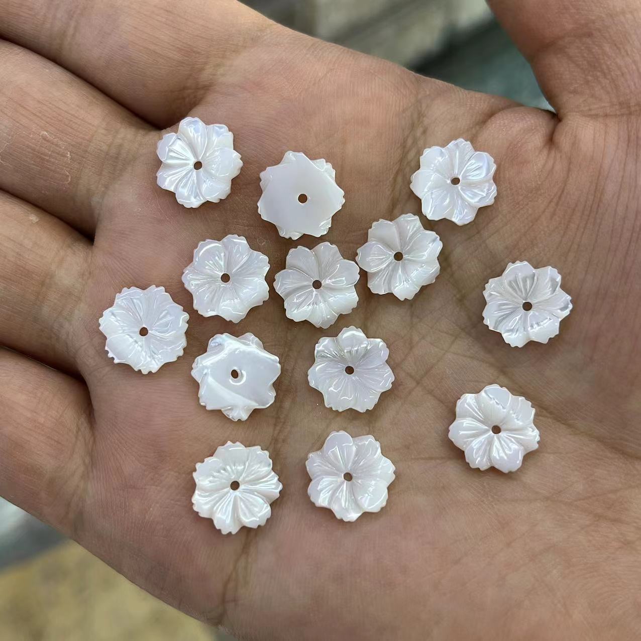 12MM Trochus 7-petal flower